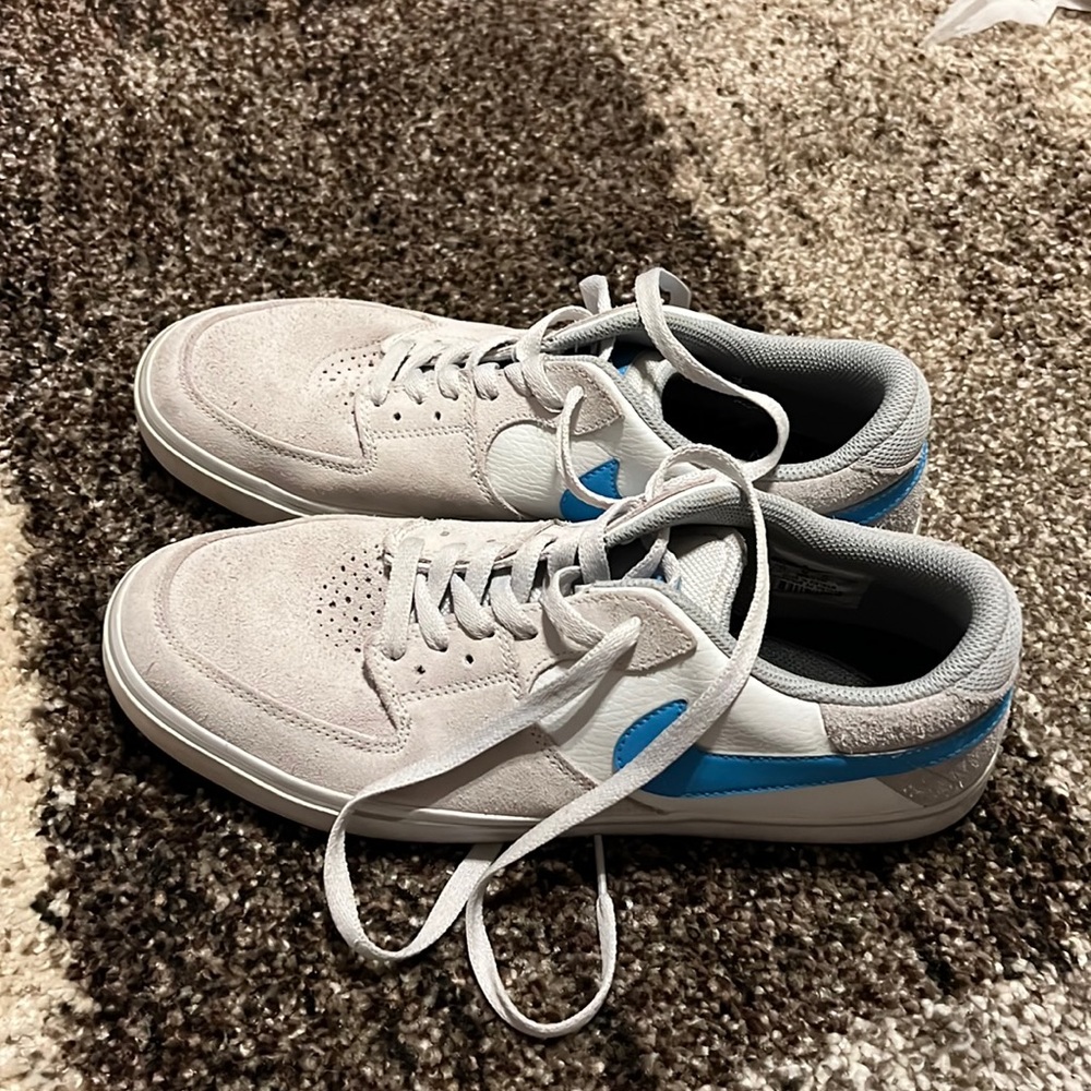 Nike Skate Shoes